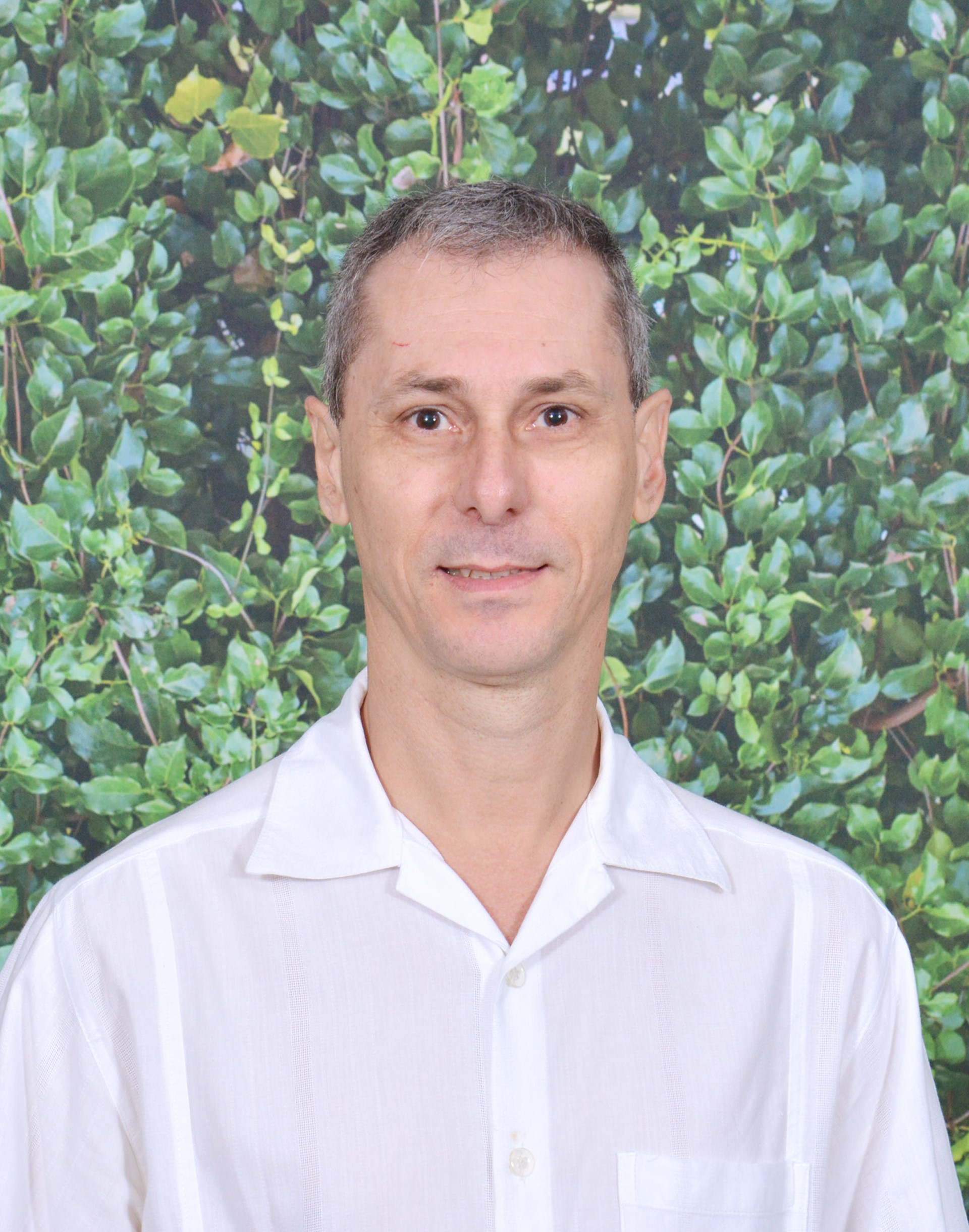 Vicente Alberto Lima Bessa